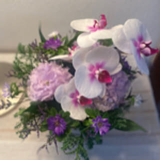 lavender