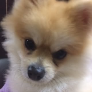 takeko