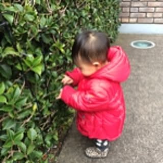 aikoon