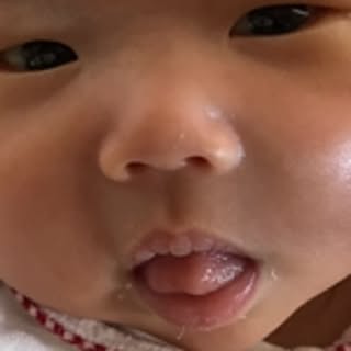 uminchu.shimantyu