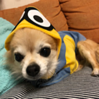 popu