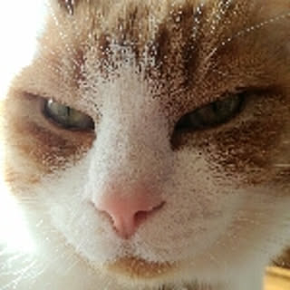 ponta