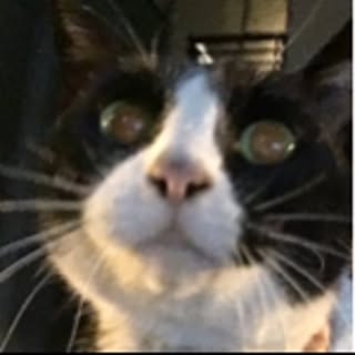 sn