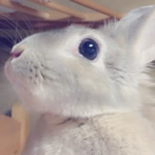 nao