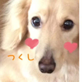 loveikurin
