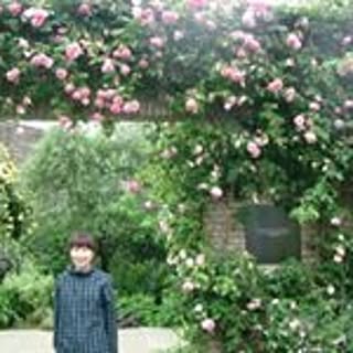 Mayu