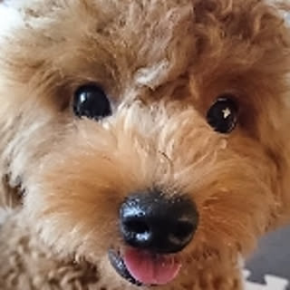hima