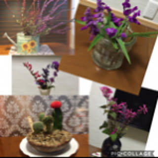 makiko