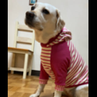 momonapu
