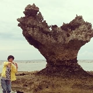 junjun