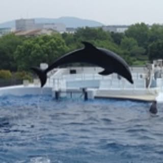 wara
