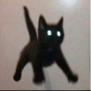 cat_fish