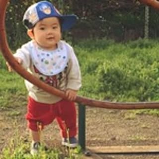 Sachi