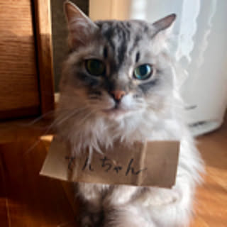 Manami