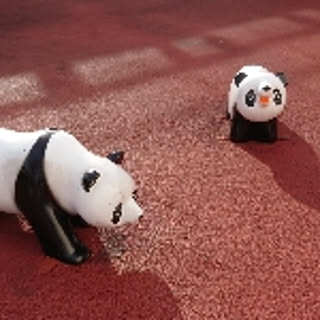 shirokuma