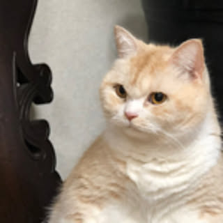 mayun