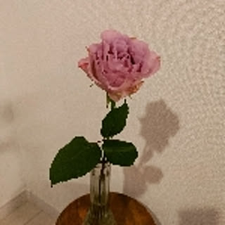 misa