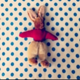 pippi0331