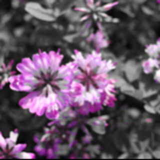 azusadayon_3739