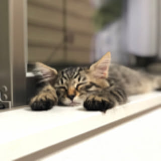 miya1006