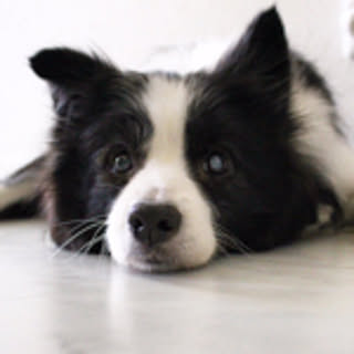 kuu