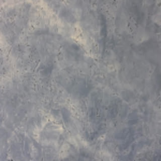 oshiz_16