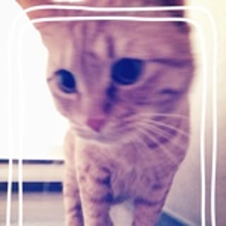 natsu