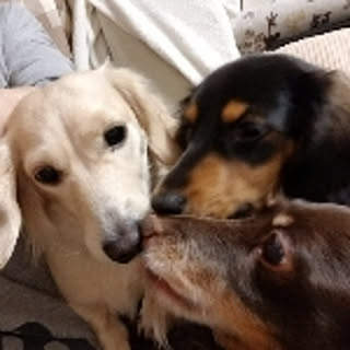 Lucky