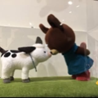 mocchi