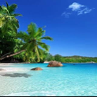 aaa