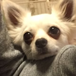 megu