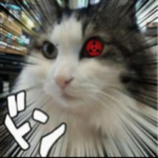 hisho.moon