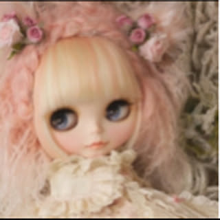 mocci