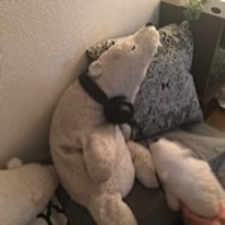 lionne