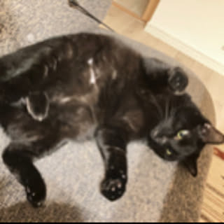 hisy16