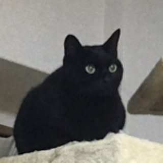 JIJI