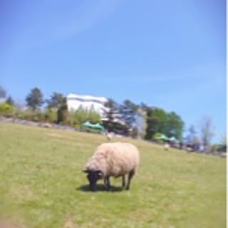 K-co
