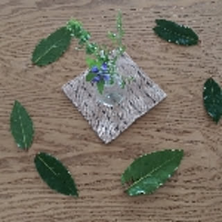 kohajun