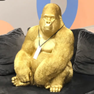 nao