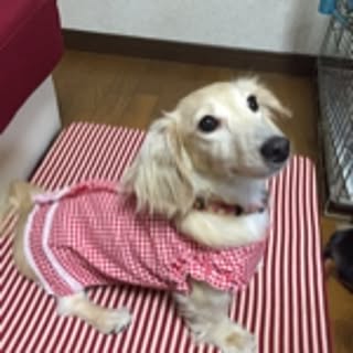 rula