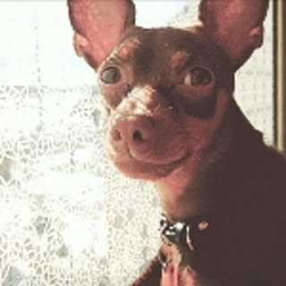 choco