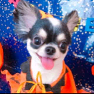 kumaji