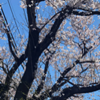 tanoshikukurasu
