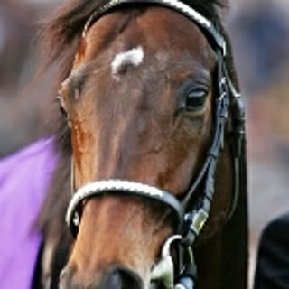 deepimpact