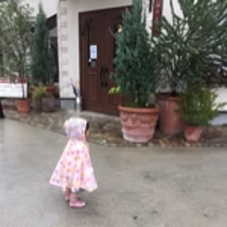 nico73