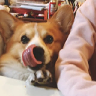 RioRio