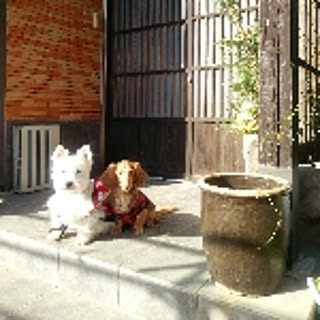 maririn