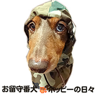 Erika_Hoppy