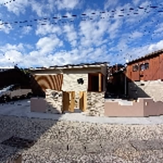 tani330