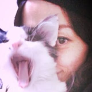 meawmeaw